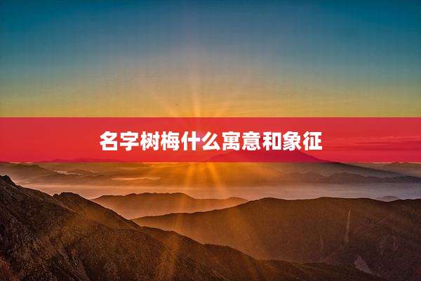 名字树梅什么寓意和象征