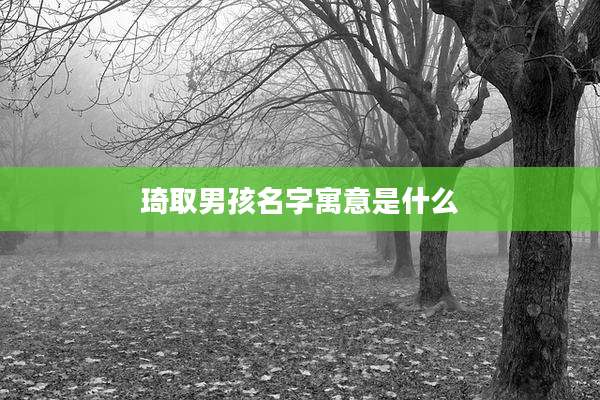 琦取男孩名字寓意是什么