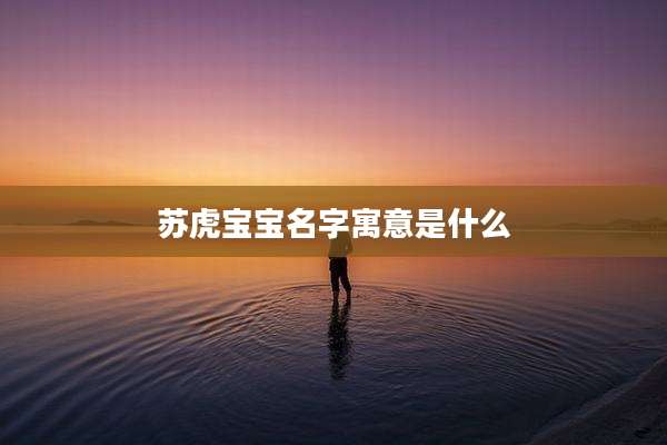苏虎宝宝名字寓意是什么