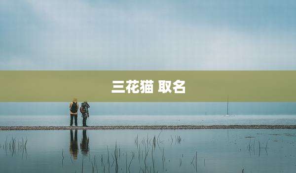 三花猫 取名