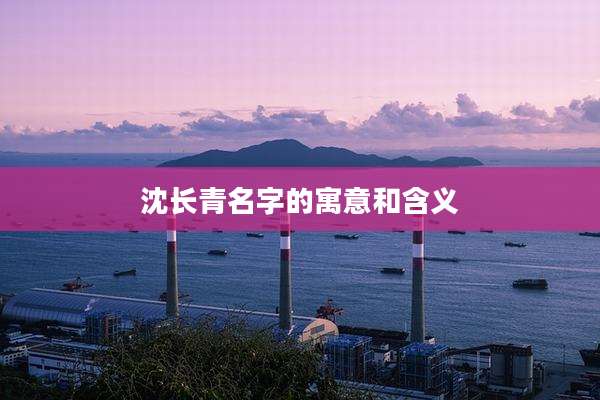 沈长青名字的寓意和含义