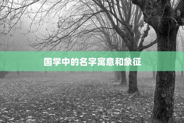 国学中的名字寓意和象征