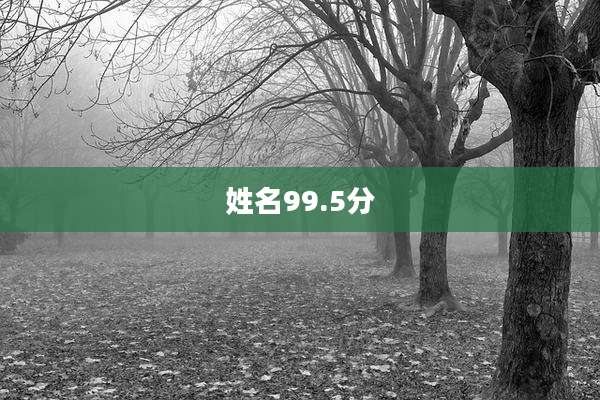 姓名99.5分