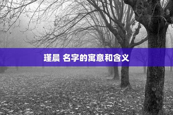 瑾晨 名字的寓意和含义