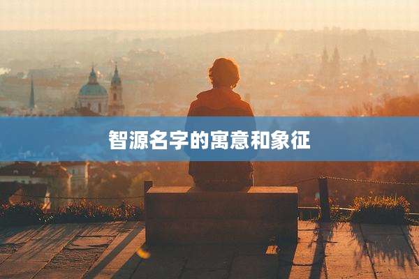 智源名字的寓意和象征