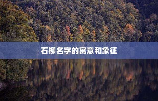 石柳名字的寓意和象征