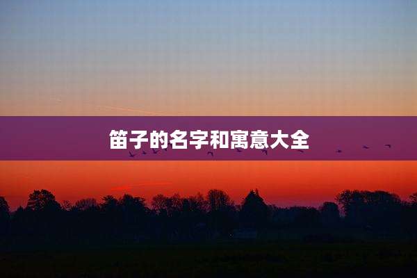 笛子的名字和寓意大全