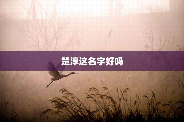 楚淳这名字好吗