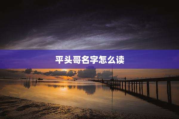 平头哥名字怎么读
