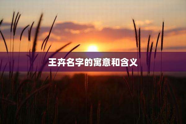 王卉名字的寓意和含义