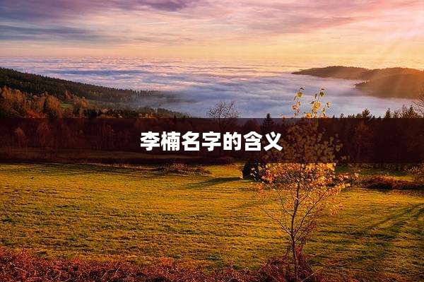 李楠名字的含义