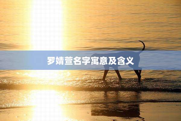 罗婧萱名字寓意及含义