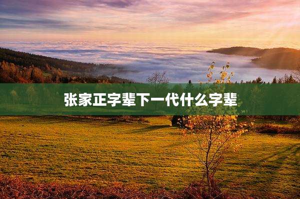 张家正字辈下一代什么字辈