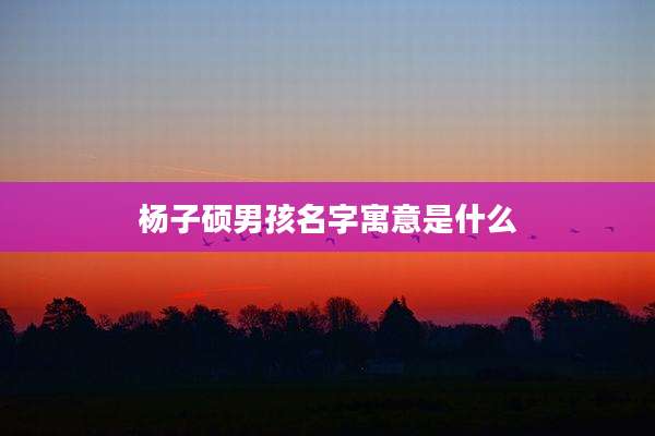 杨子硕男孩名字寓意是什么