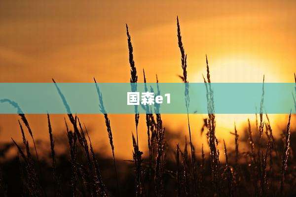 国森e1