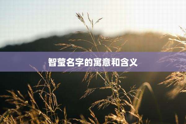 智莹名字的寓意和含义