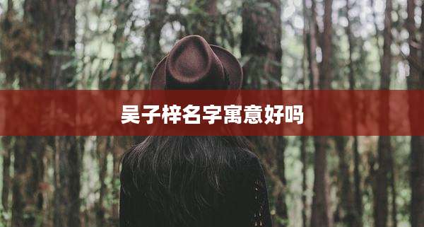 吴子梓名字寓意好吗