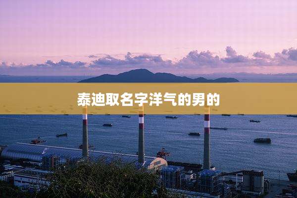 泰迪取名字洋气的男的