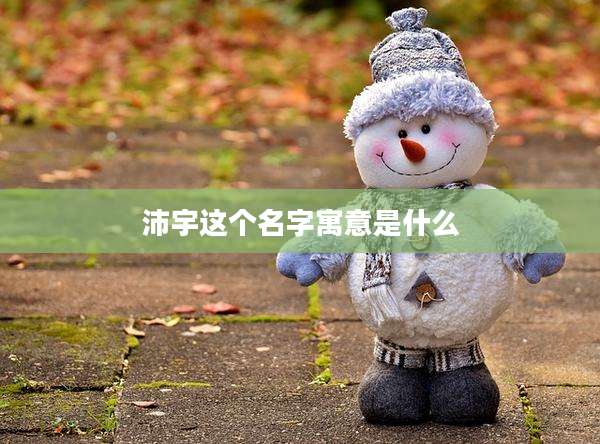 沛宇这个名字寓意是什么