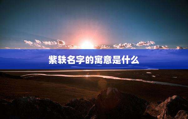 紫轶名字的寓意是什么