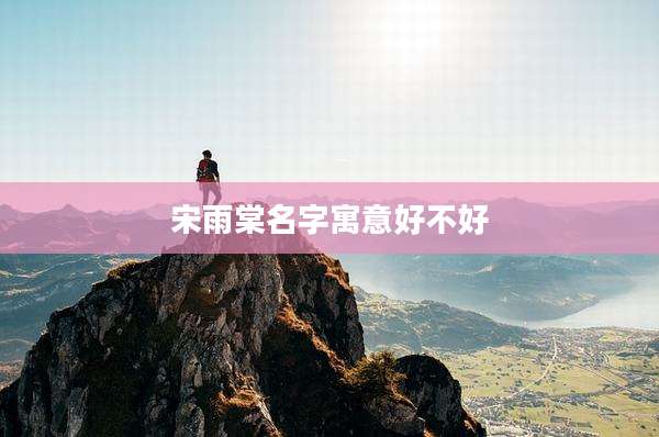 宋雨棠名字寓意好不好