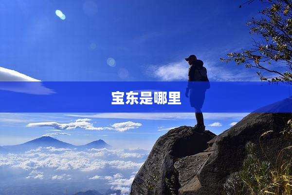 宝东是哪里