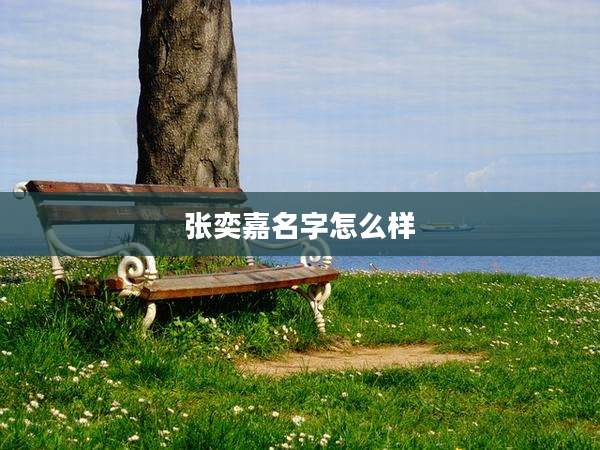 张奕嘉名字怎么样