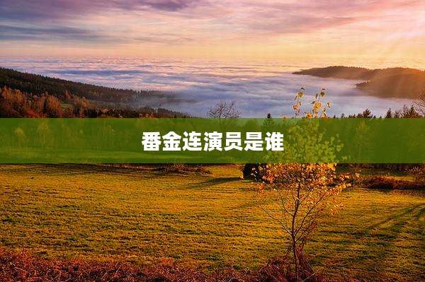 番金连演员是谁