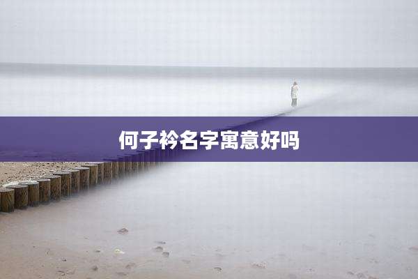 何子衿名字寓意好吗