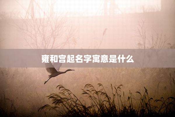 雍和宫起名字寓意是什么