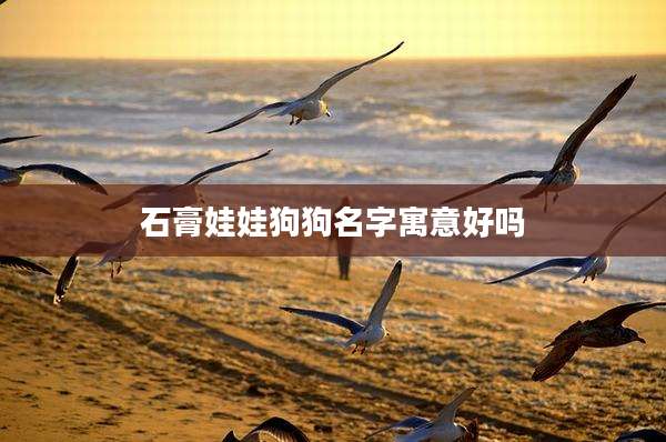 石膏娃娃狗狗名字寓意好吗