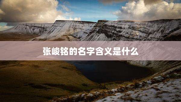 张峻铭的名字含义是什么