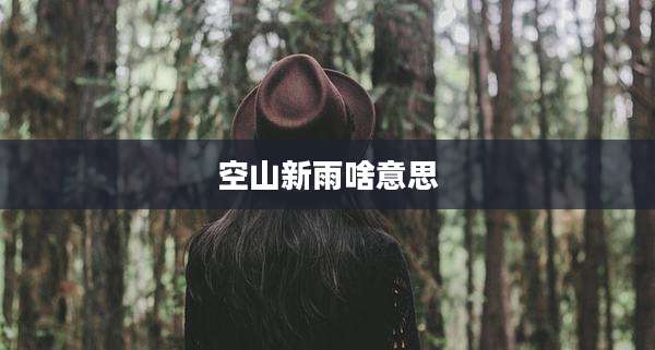 空山新雨啥意思