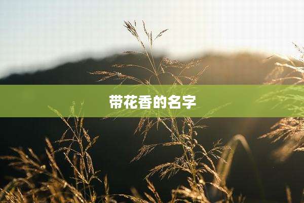 带花香的名字