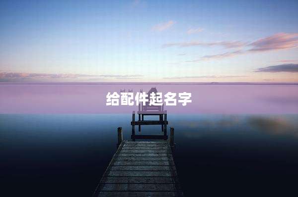 给配件起名字