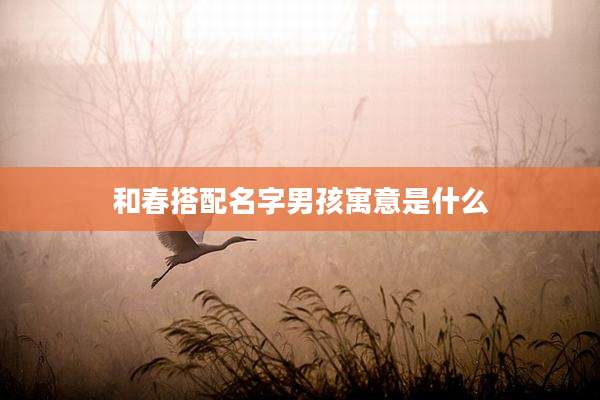 和春搭配名字男孩寓意是什么