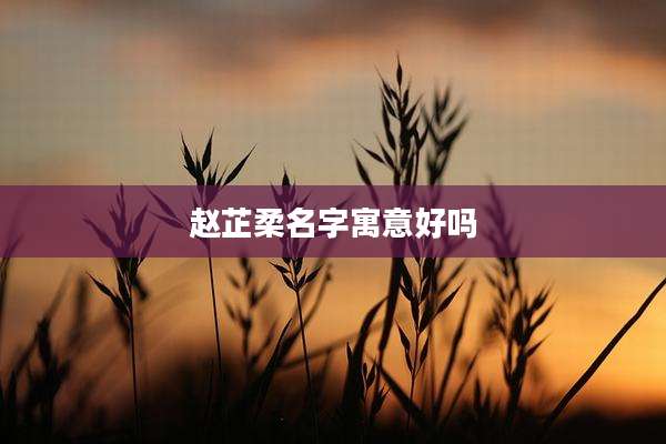 赵芷柔名字寓意好吗