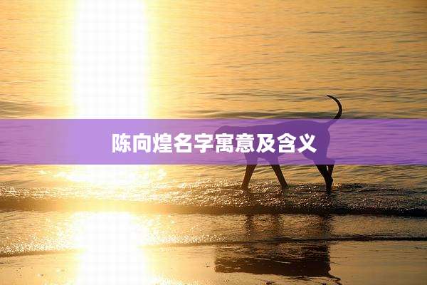 陈向煌名字寓意及含义