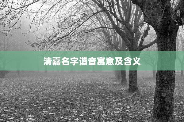 清嘉名字谐音寓意及含义