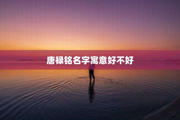 唐禄铭名字寓意好不好