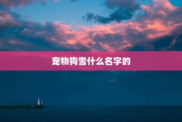 宠物狗雪什么名字的