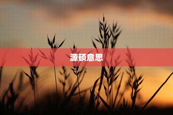 源硕意思