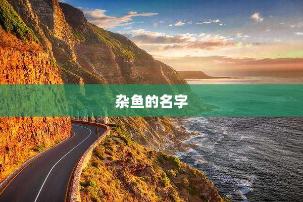 杂鱼的名字