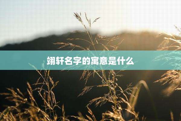 翊轩名字的寓意是什么