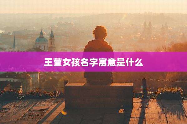 王萱女孩名字寓意是什么