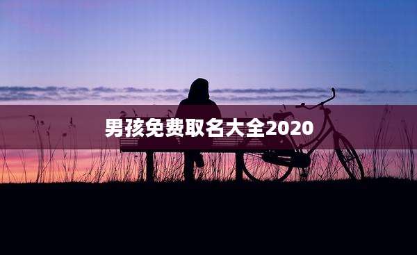 男孩免费取名大全2020