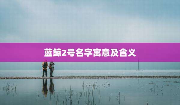 蓝鲸2号名字寓意及含义