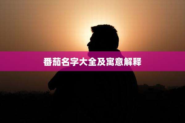 番茄名字大全及寓意解释