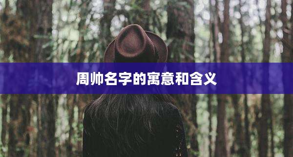 周帅名字的寓意和含义