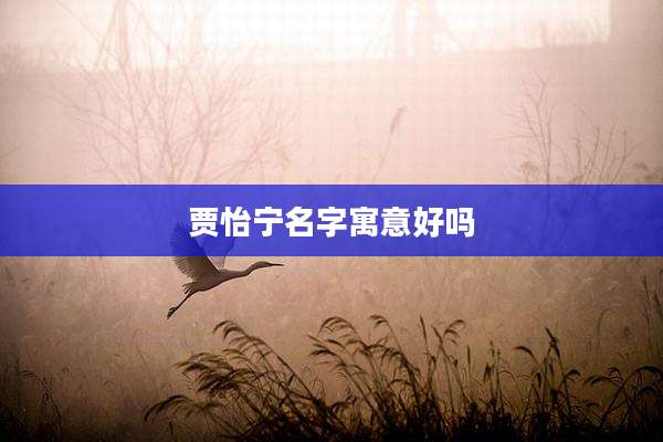 贾怡宁名字寓意好吗